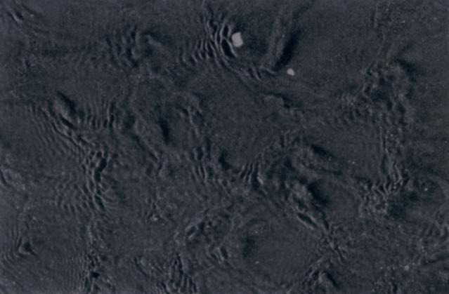 Itlie, 2000